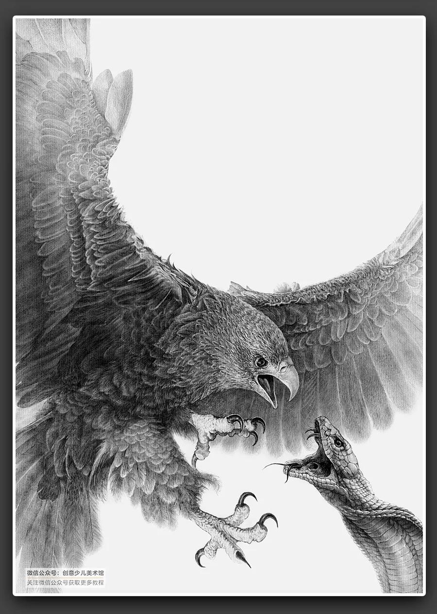 动物素描毛发细节教程,6-12岁儿童素描课程画动物