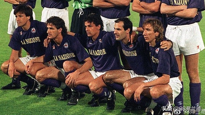 紫百合是佛罗伦萨吗,紫百合佛罗伦萨安切洛蒂