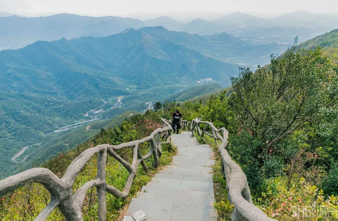 罗湖区的名气大吗,带你了解罗湖