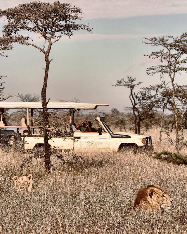 NAYPALAD鸟巢酒店——极致“野奢”体验