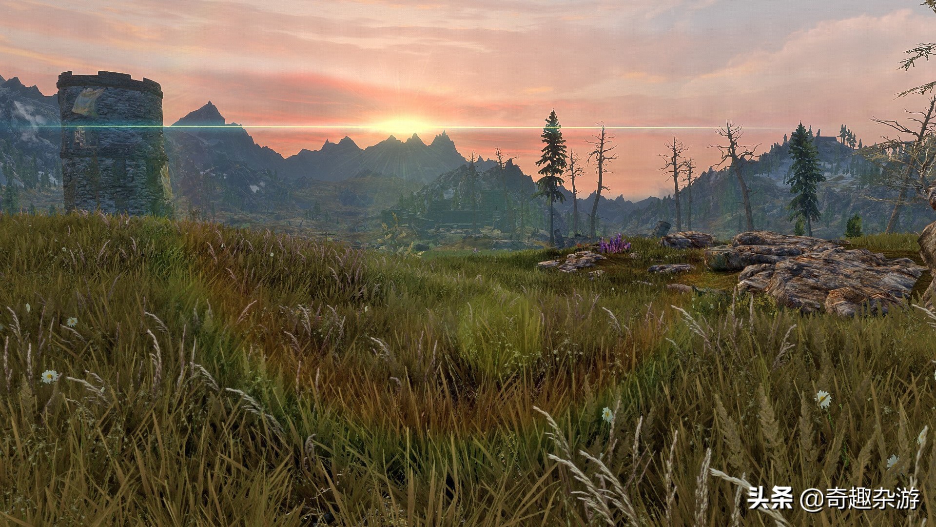 阿玛拉王国游戏,阿玛拉王国哪年上的游戏