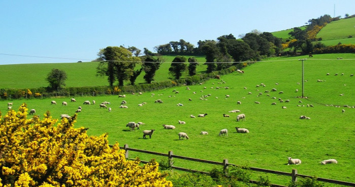 欧洲哪个品牌奶粉销量最好,国外的奶粉是不是真的比较好