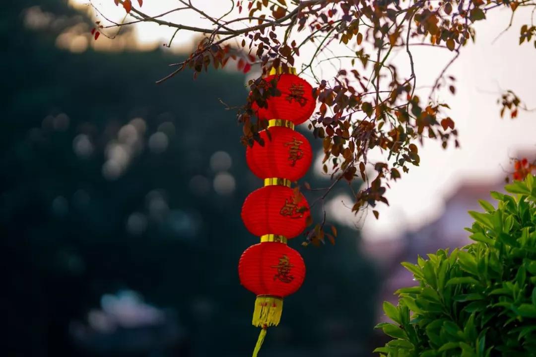 Duters在全球各地给您拜年啦