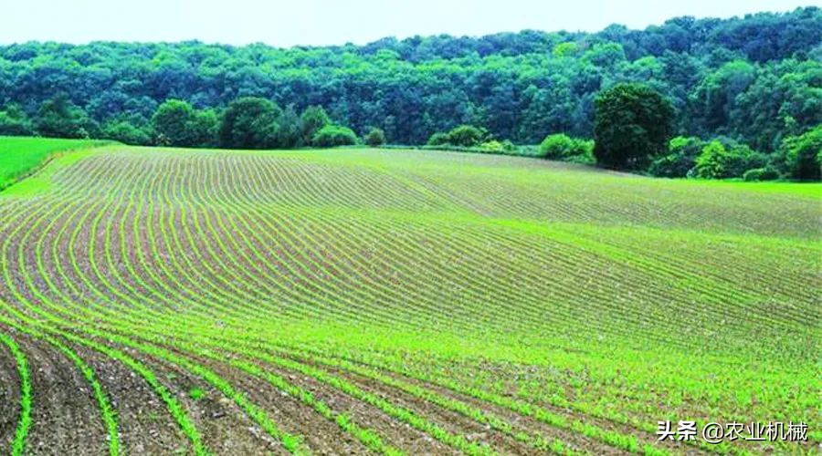丘陵地带怎么用机械化牧草种植,湖南牧草机械化收获基地