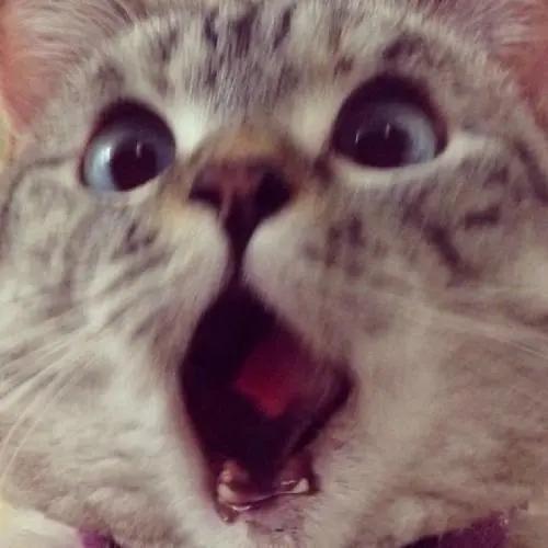 詹姆斯球衣卖出天价,老詹的影响力