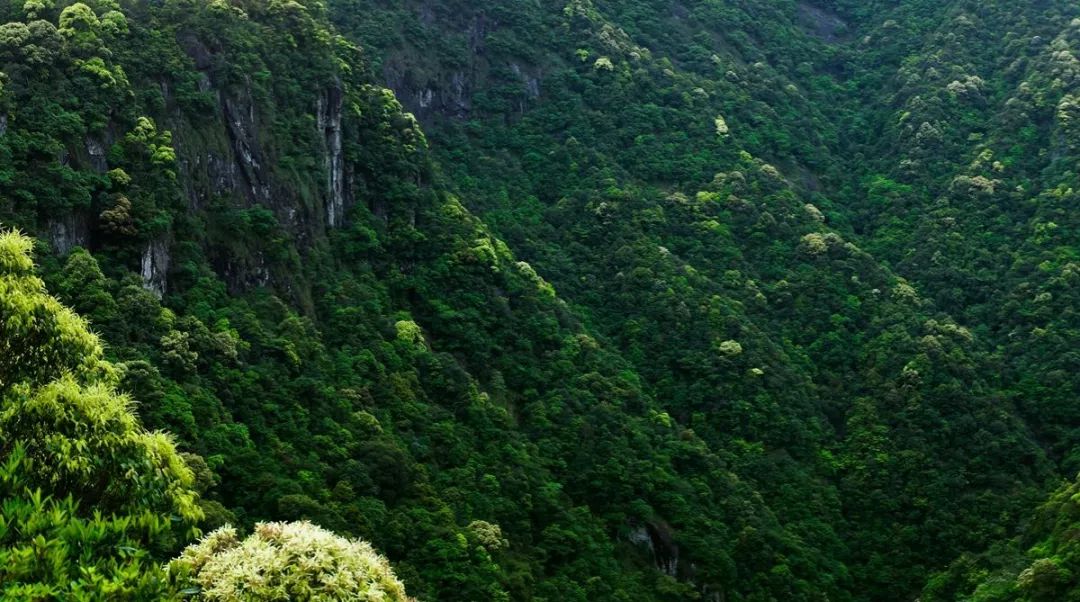 温州风景优美的古村古镇,温州世外桃源古村