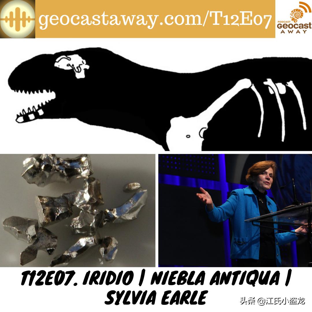 古生物时代有多少种恐龙,人类已经发现了多少恐龙种类