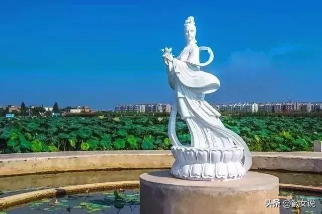 合肥:家住肥东,牛哄哄