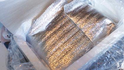 渔家女揭露海鲜市场黑幕,渔家女海鲜视频