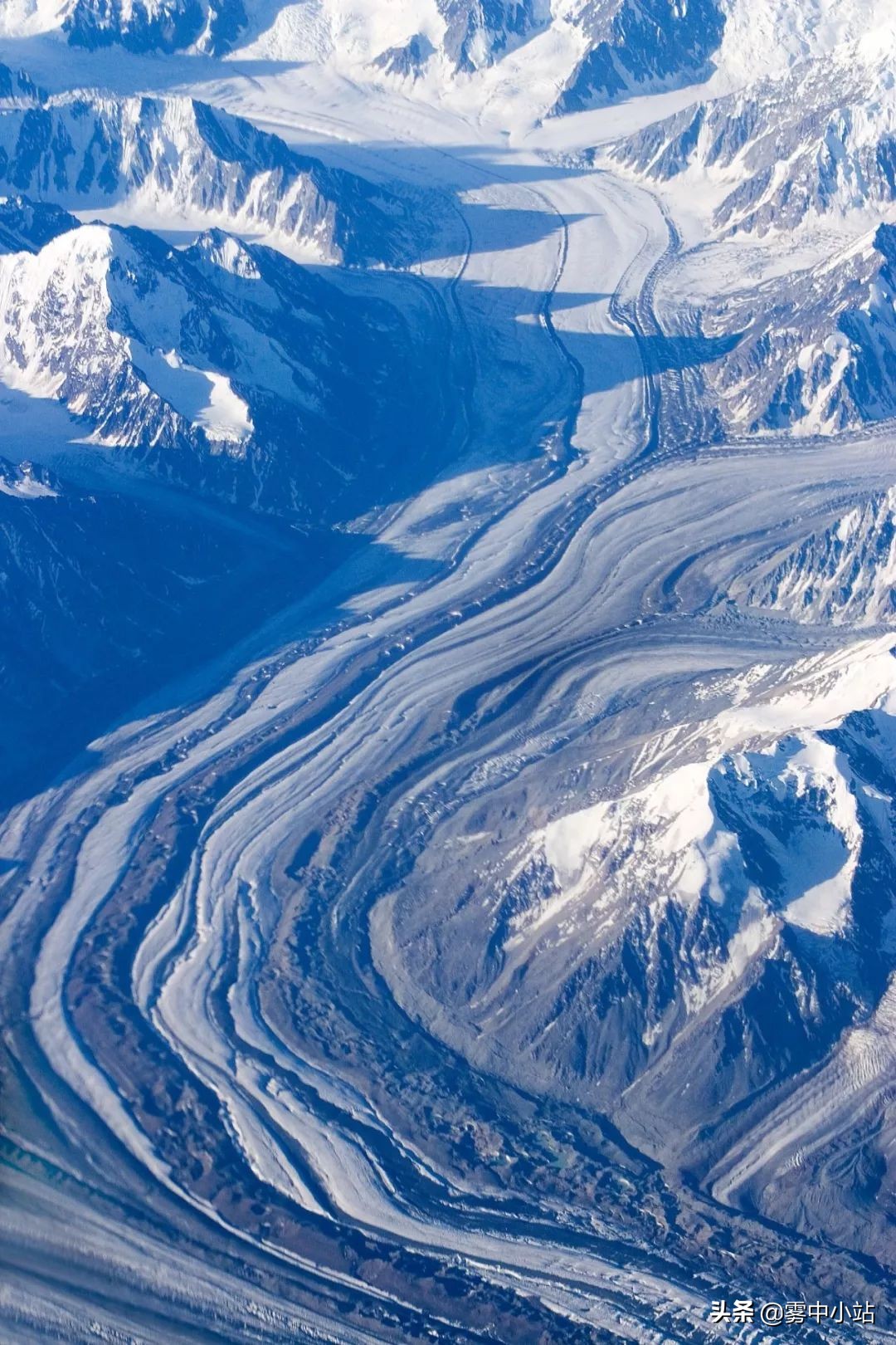 最便宜阿拉斯加多少钱,最便宜又大的阿拉斯加