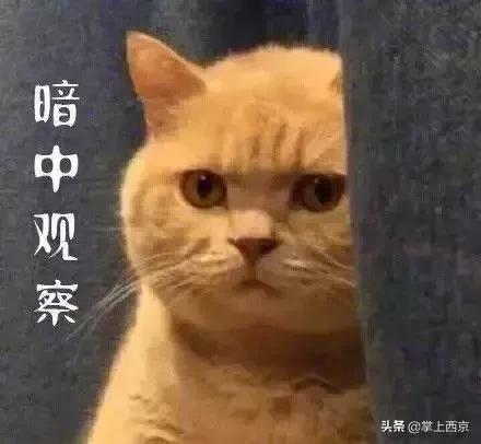 春运西安出行攻略 (西安春运出行提示)