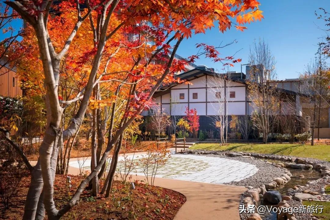 日本星野温泉酒店,日式旅馆星野度假村