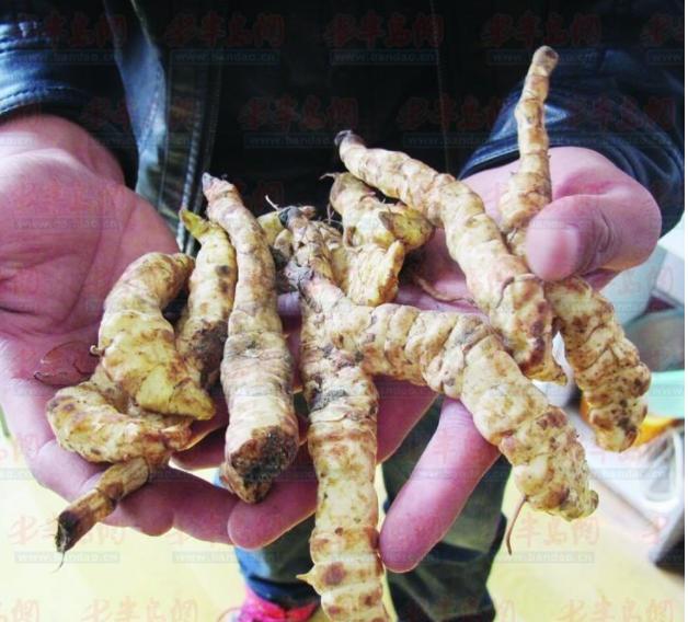 种植业致富陷阱,种植业发展的最好方法