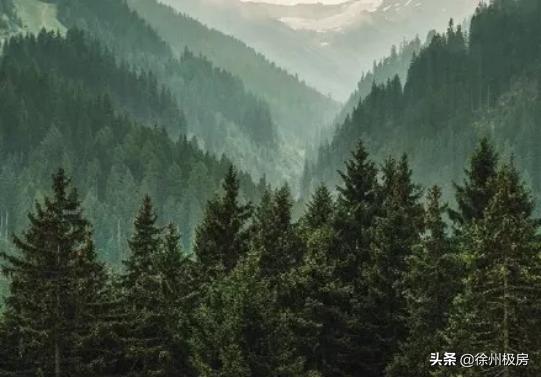 半山悦景再现百年山居精神,半山悦景的梅花坞