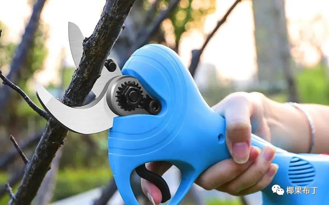 最好用的园艺剪刀排名,园艺剪刀哪个品牌最好