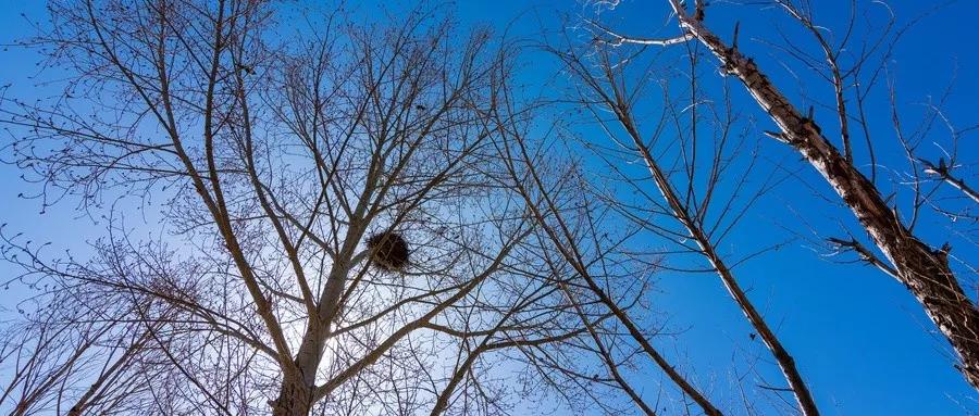 二十四节气之小寒知识讲座,二十四节气之小寒养生