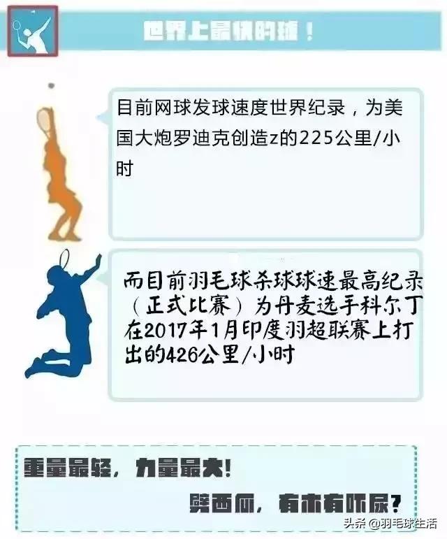 羽毛球和篮球谁运动量更大,篮球和足球和羽毛球哪个运动量大