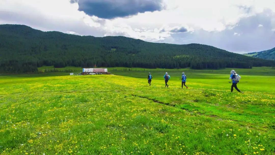 英诺王雪梅,英诺基金王雪梅
