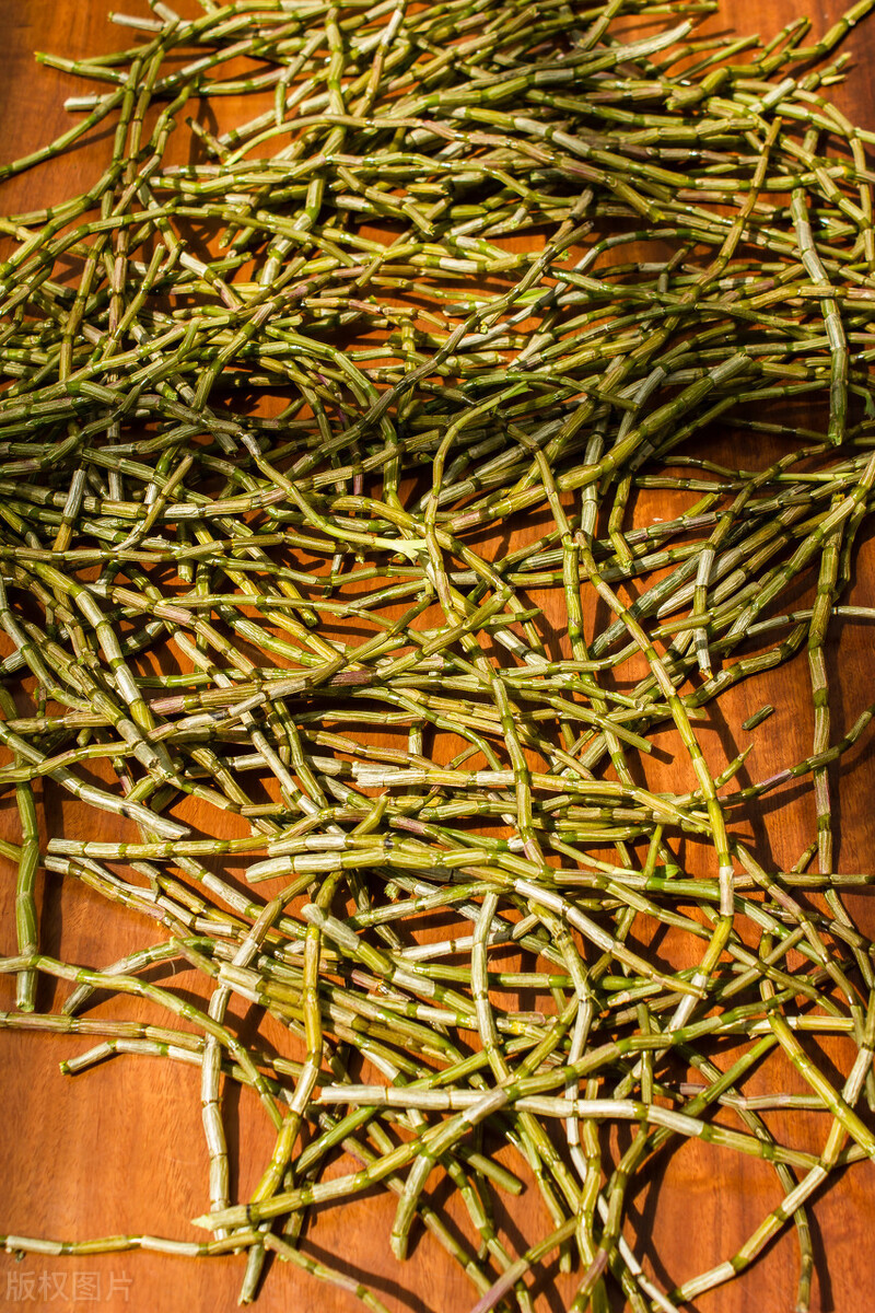 野生铁皮石斛一般多少一克,野生铁皮石斛多少一两