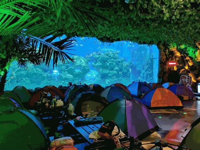 暑假余额已不足该注意什么,暑假余额即将不足