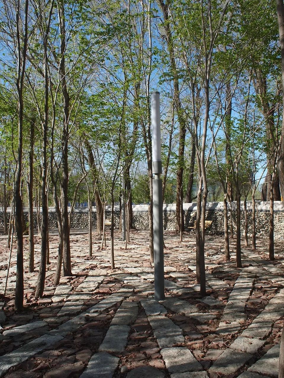 荒漠的城市,城市的喧嚣沙漠的宁静