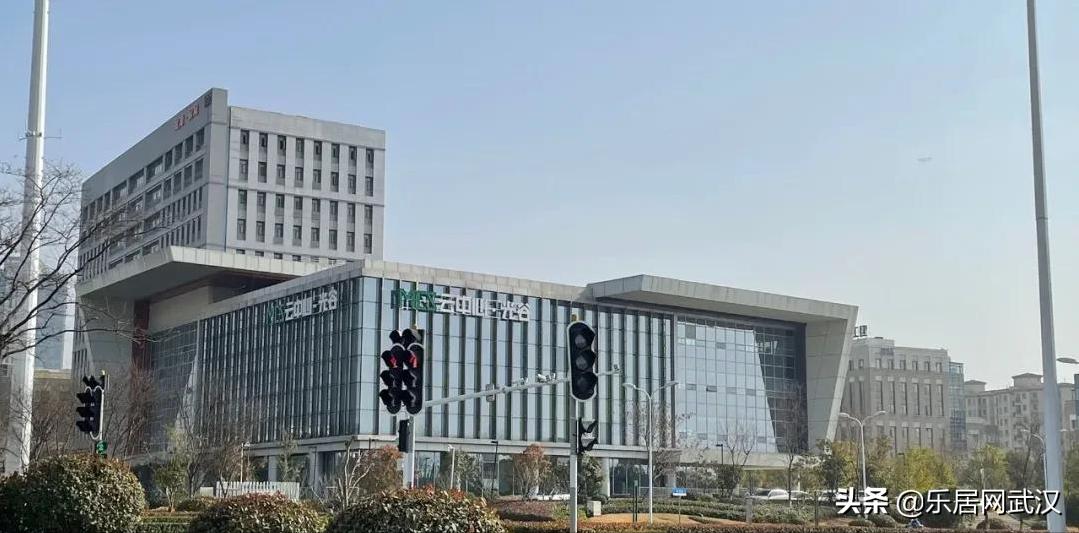 实探bp,实盘抓牛股