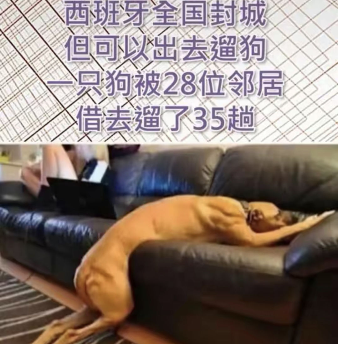 和女生去漂流怎么推进感情,怎么约女生去漂流