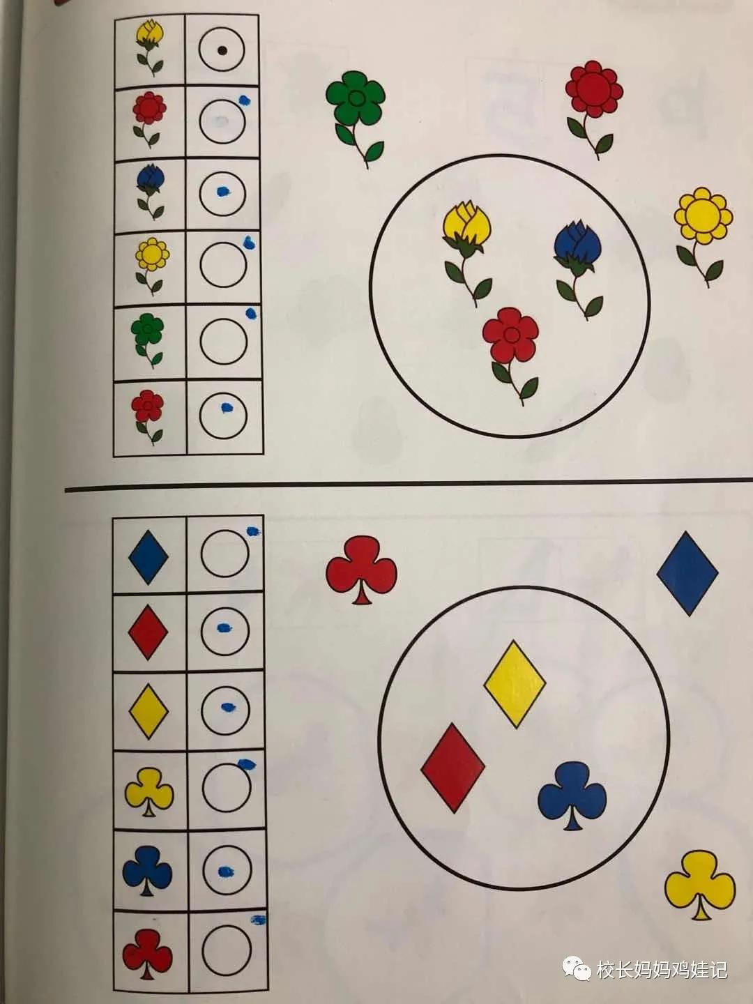 斯奎尔全脑数学讲解3到4岁,四岁学完所有课程