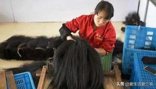 理发店里的碎头发回收有什么用呢,碎了的短头发有什么作用