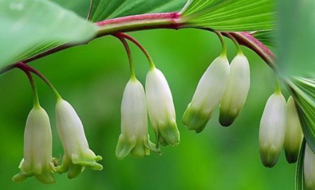 祛体内湿毒的最好最快的方法,如何祛湿毒最好的方法