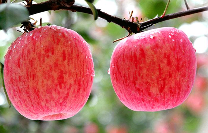 穿越到秦朝能吃些什么,假如穿越到秦朝我们能吃到什么