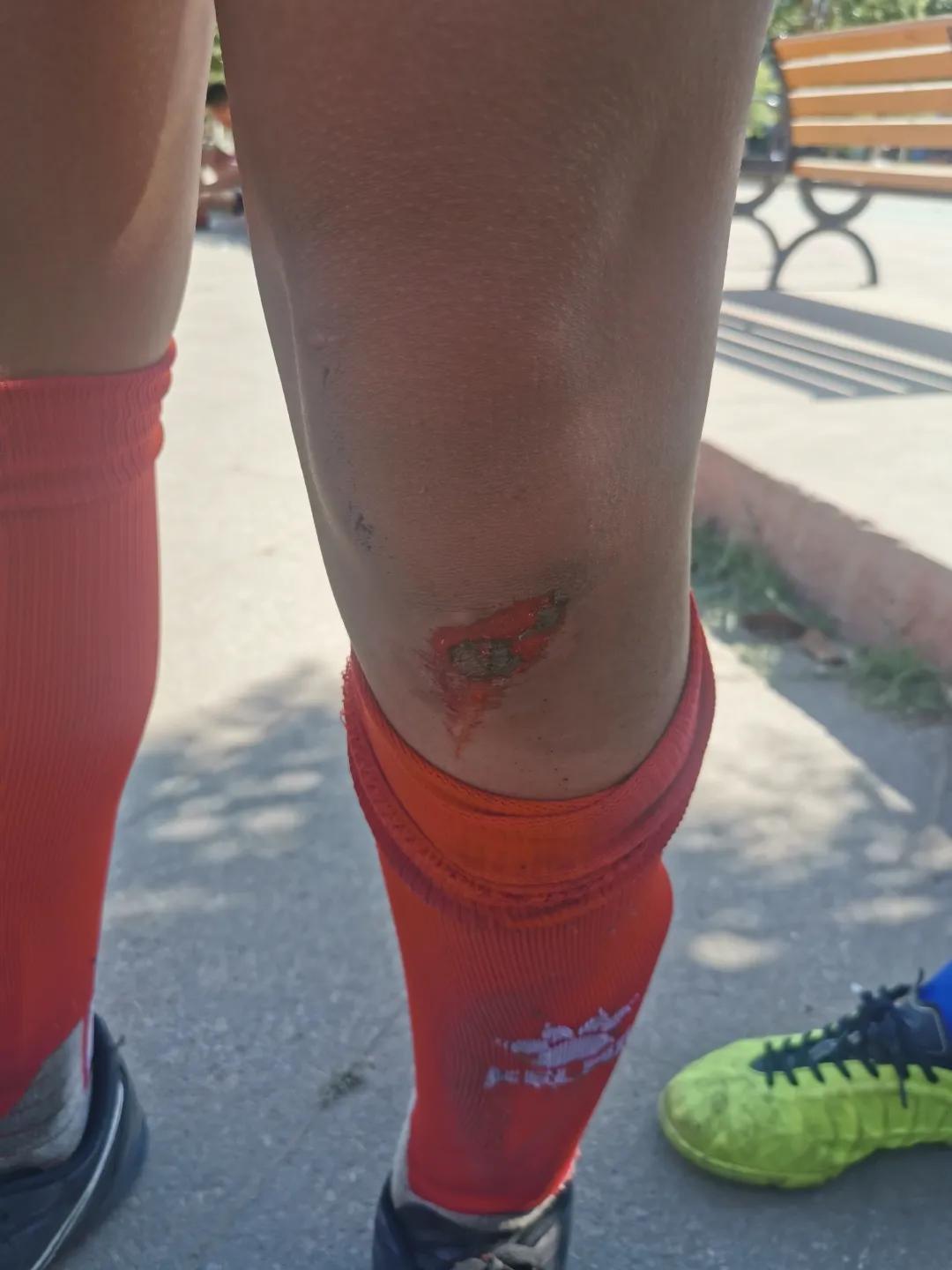 博雅少年奖项说明,博雅少年获得荣誉内容