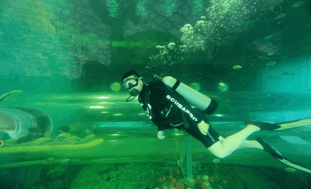 天津欢乐谷玛雅水公园游玩攻略,玛雅海滩水乐园天津欢乐谷