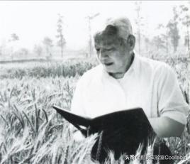 北京三环农田,北京三环麦田房价