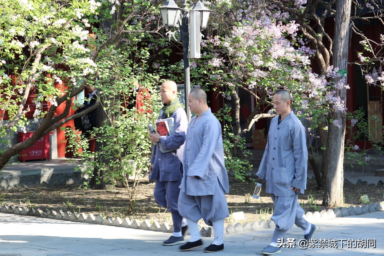 寻访京西千年古寺,寻访人间四月天