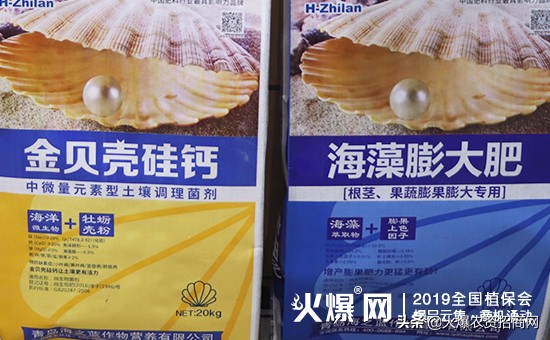 我为海之蓝代言,我为海之蓝代言谁拍的