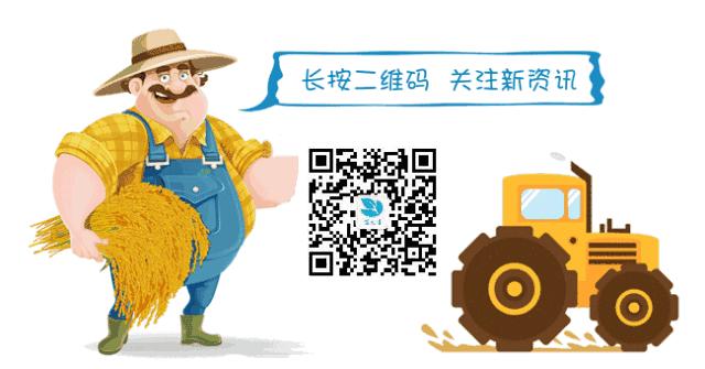 买水果哪个网站最好,水果网上在哪买比较好