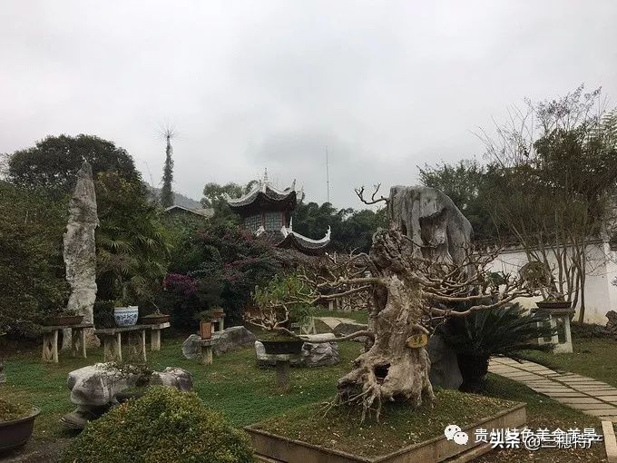 黄果树瀑布游玩攻略费用多少,贵州黄果树瀑布千户苗寨旅游攻略