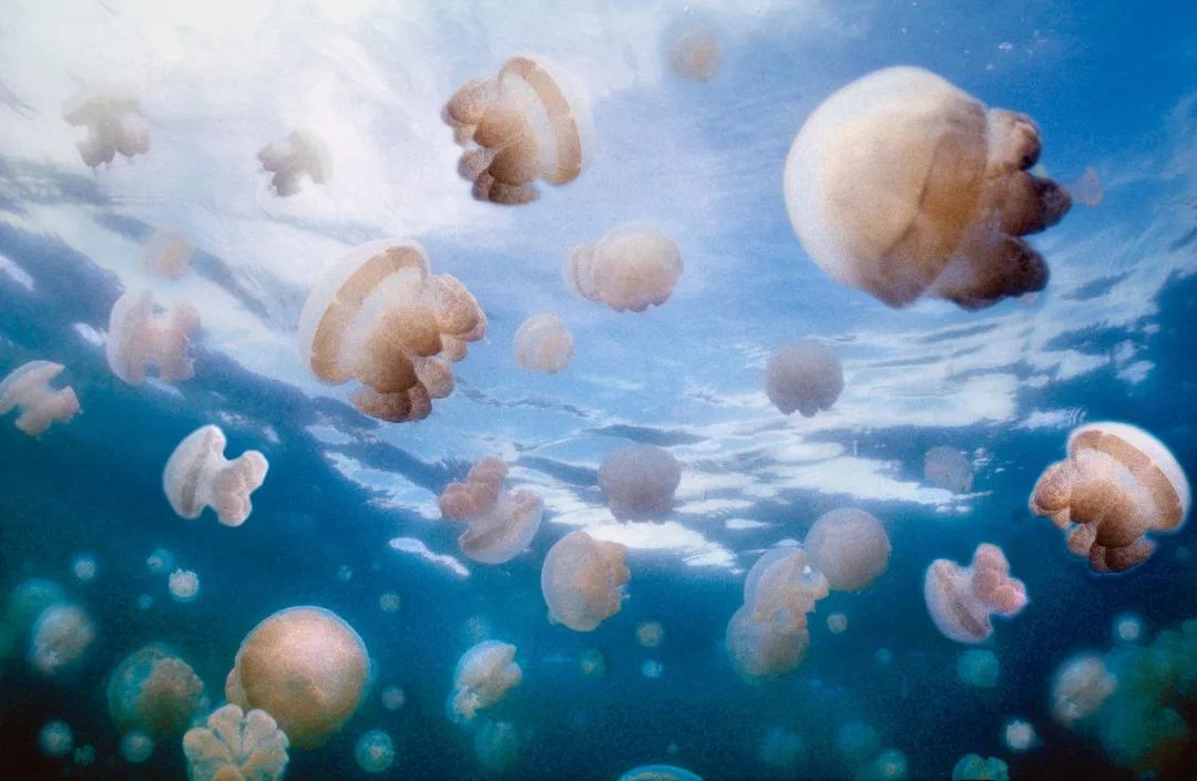 世界最美50座岛屿,中国最美十大海岛排名