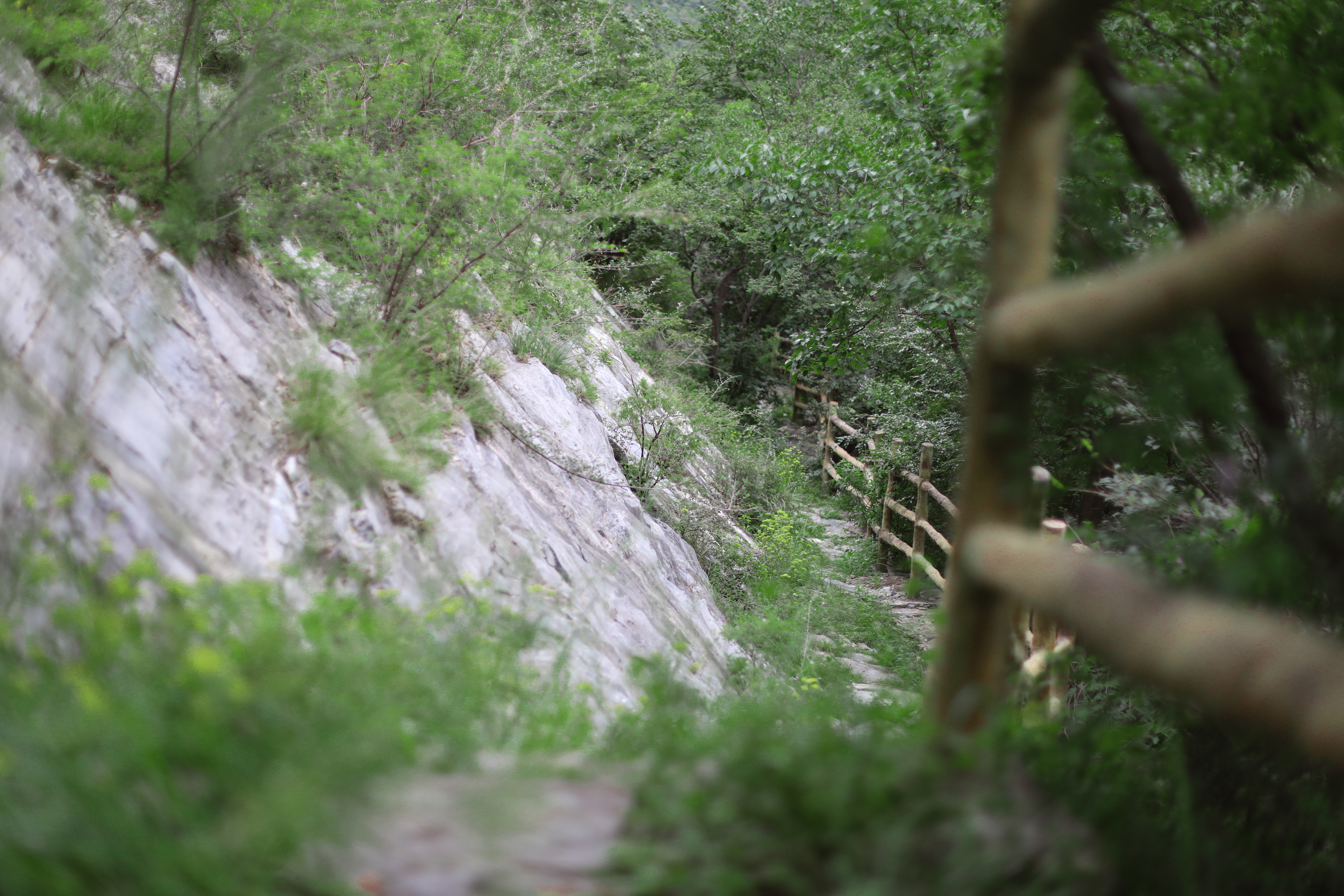 京郊十条登山步道推荐,房山蝴蝶谷登山步道
