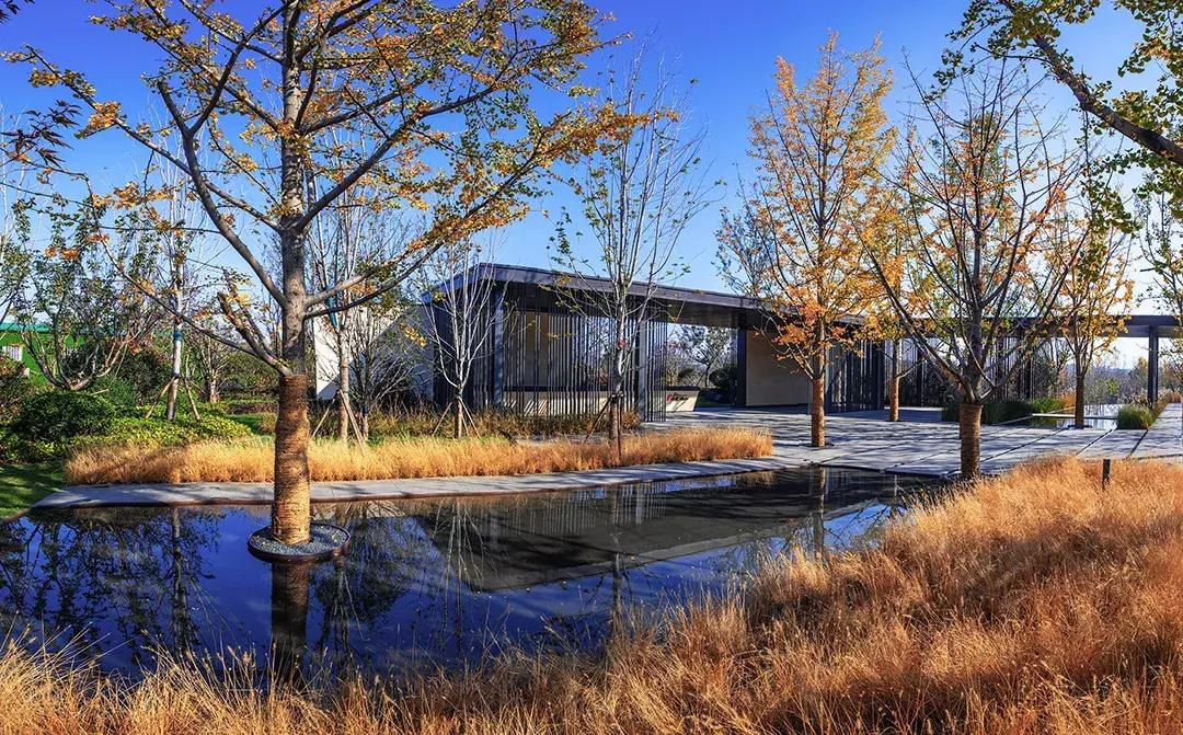 盘点c位出道,盘点郑州标杆楼盘