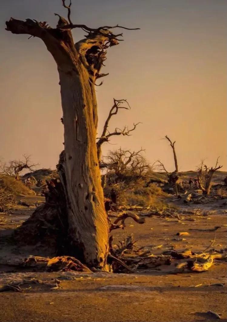 矿山风云评书大全,矿山风云录第一部