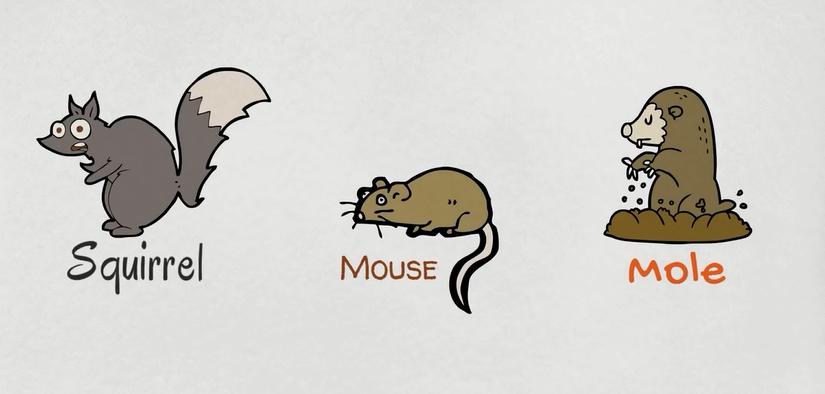 动物英语名称视频大全,兔小贝英语宝典动物名称