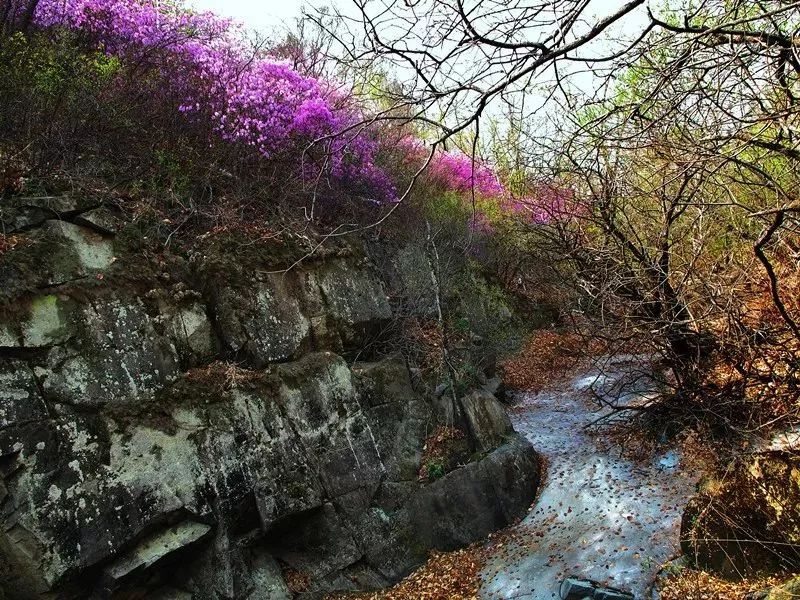 内蒙古通辽扎鲁特旗5条自驾游线路和景点攻略