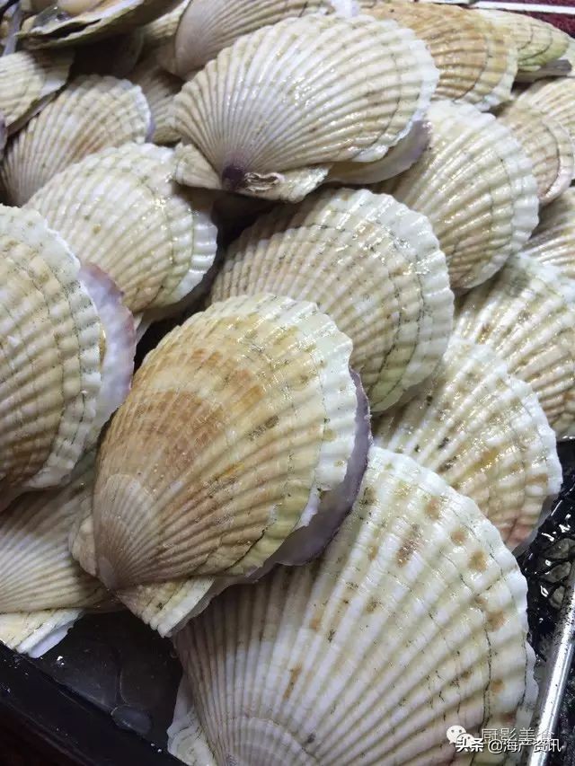 这些外形奇葩而味道超级赞的海鲜,广东十大硬核海鲜品种