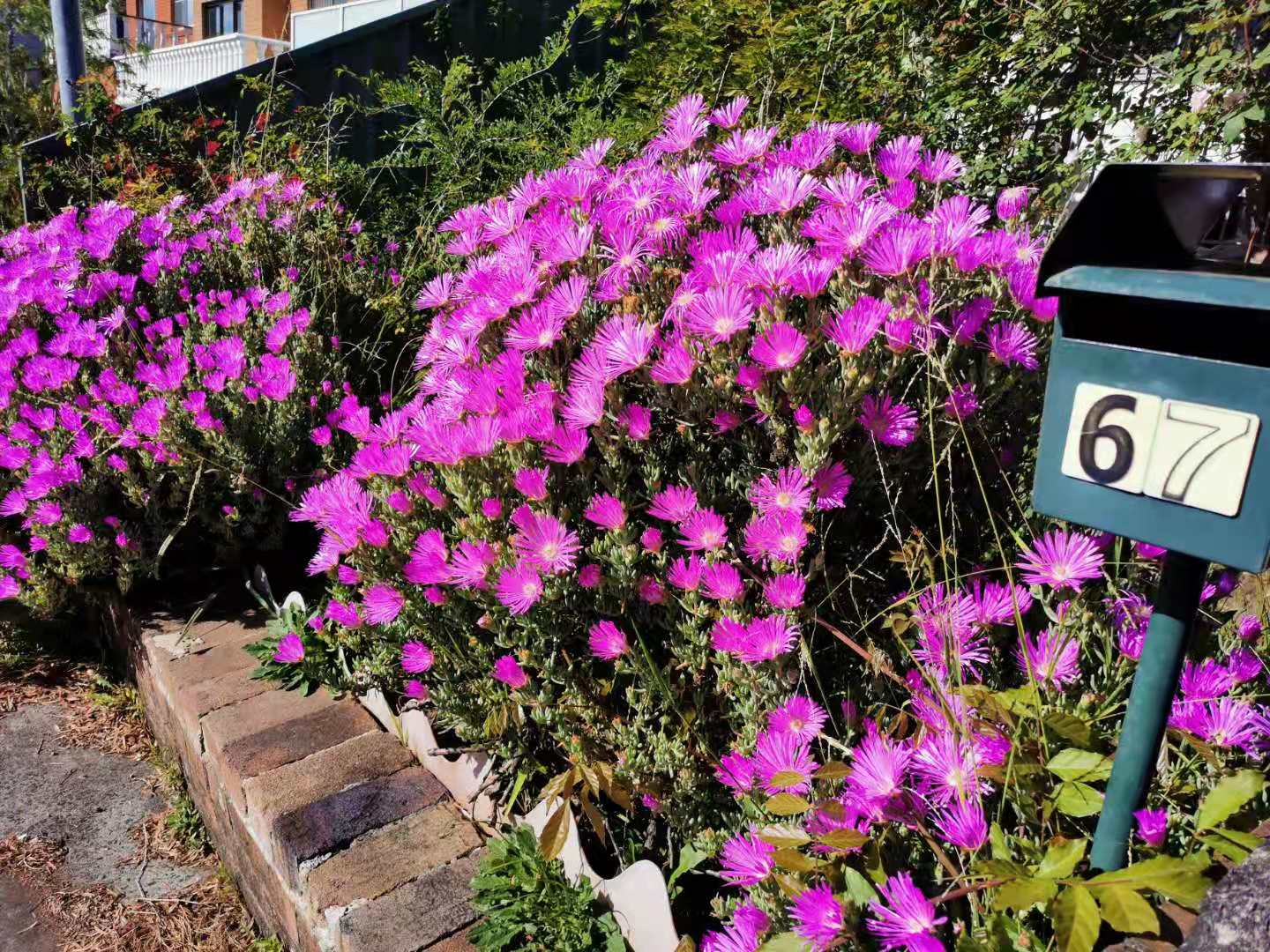 悉尼一年四季的天气,悉尼一年家庭生活费多少