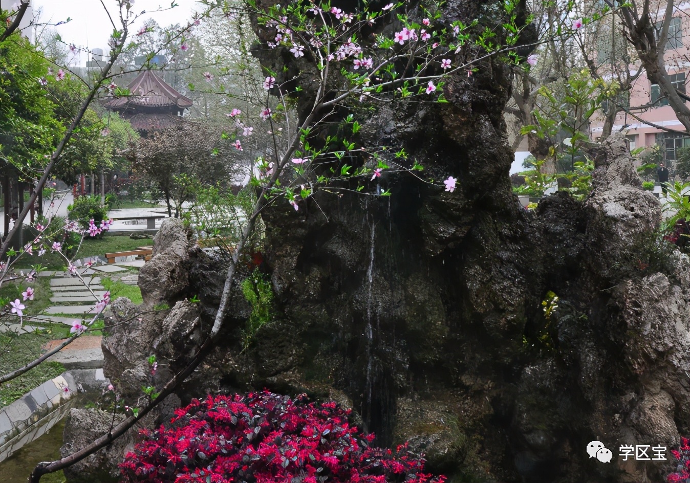 双流中和中学升学率,成都市双流区中和中学