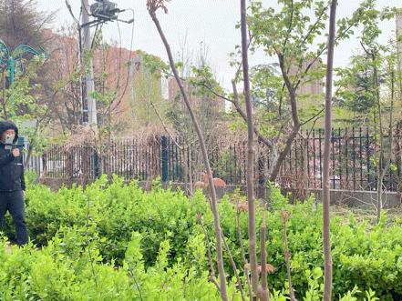 oppofindx3pro能和iphone比吗,oppofindx3真实体验