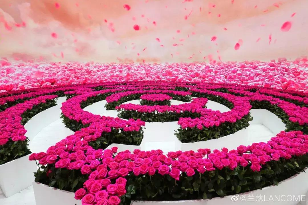 从默默无闻逆袭成功,从默默无闻到全球知名它经历了啥