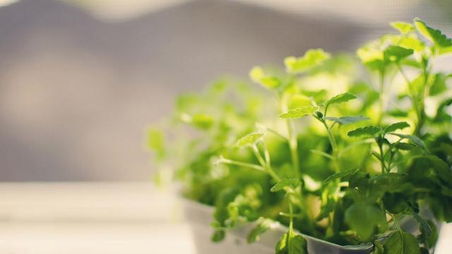 儿童被甲醛影响会有哪些症状,孩子甲醛超标该怎么办